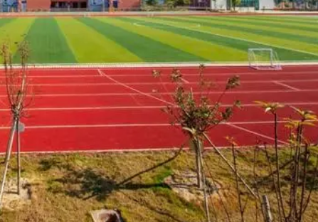 黑龙江2024年高中毕业可不可以上中专学校