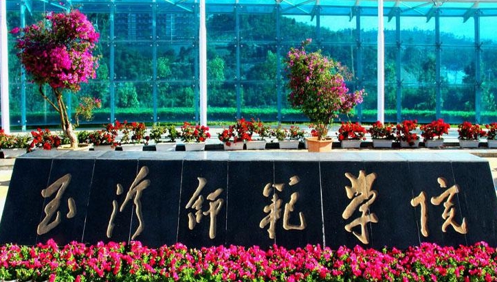 2024玉溪师范学院专业排行榜 