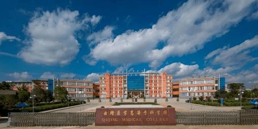 2024楚雄医药高等专科学校专业排行榜 