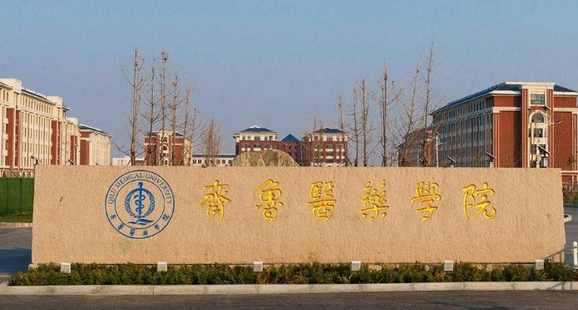 2024齐鲁医药学院专业排行榜 