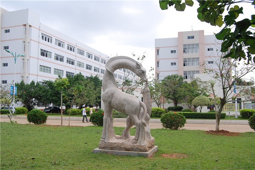 海南2024有哪些中专学校就业好