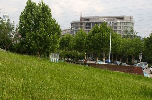 2024开封高考科目和每个科目分值