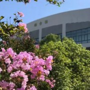 曹县梁堤头职业中等专业学校