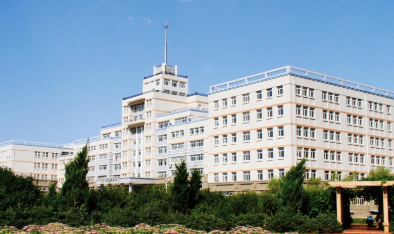 哈尔滨华德学院高考录取分数线是多少（2024参考）