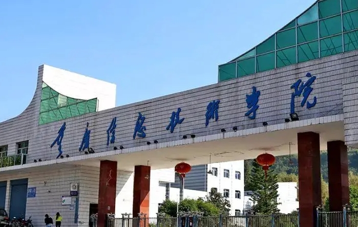 2023重庆信息技术职业学院高考录取分数线是多少（2024参考）