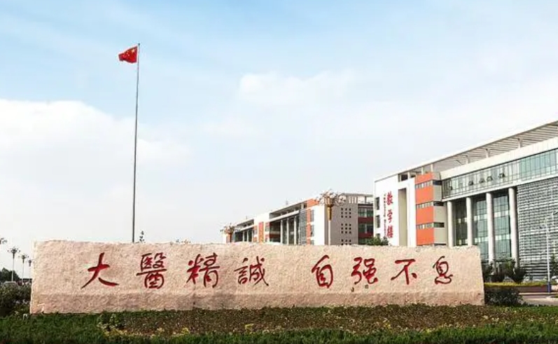 2023山东医学高等专科学校高考录取分数线是多少（2024参考）