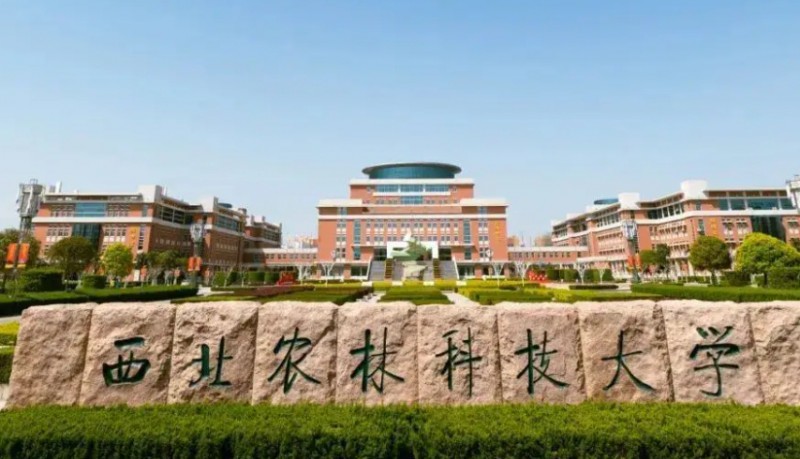 在陕西高考555分算什么水平（近三年）陕西高考555分能上的大学