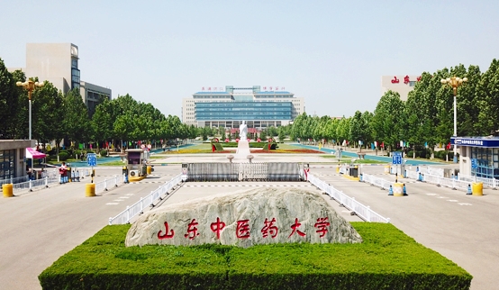 在山东高考555分算什么水平（近三年）山东高考555分能上的大学