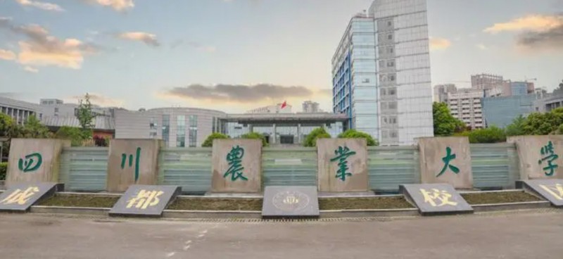 2024中国五线城市大学ABC排名