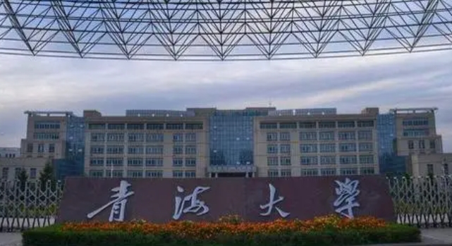 2024青海省大学分档排名