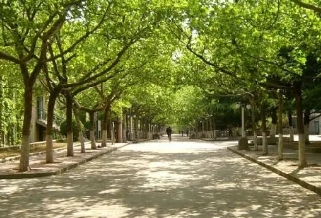 材料工程技术主要学什么？附全国材料工程技术专业大学排名一览表