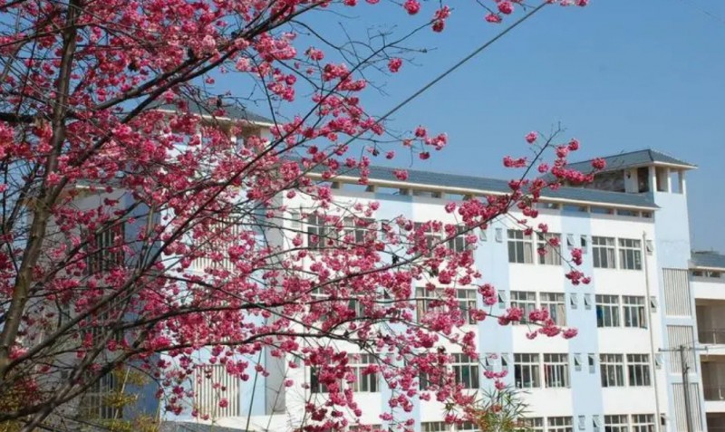 云南2024年男生上什么铁路学校比较好
