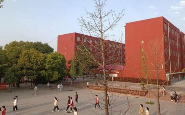 漯河市召陵区中等专业学校招生简章2024年