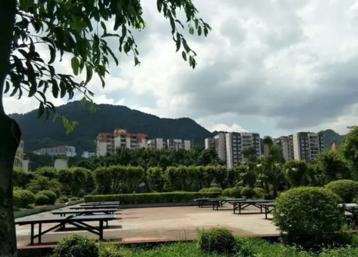 重庆市木洞中学校地址，乘车路线