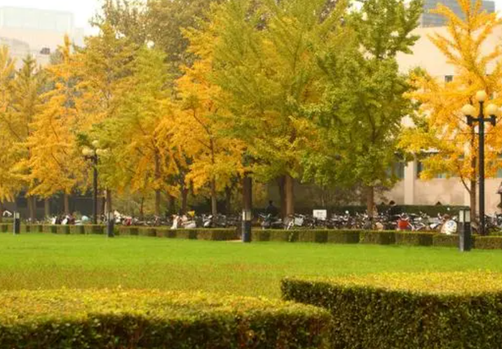 护理学出来能干什么工作？附护理学专业就业前景