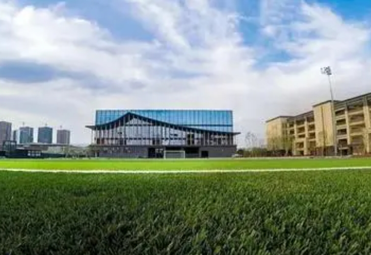2024重庆巴蜀常春藤学校招生计划 招生人数是多少(附要求、条件、对象)