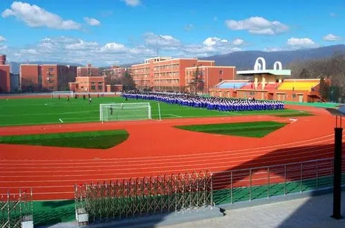 2024石家庄市第九中学招生计划 招生人数是多少(附要求、条件、对象)