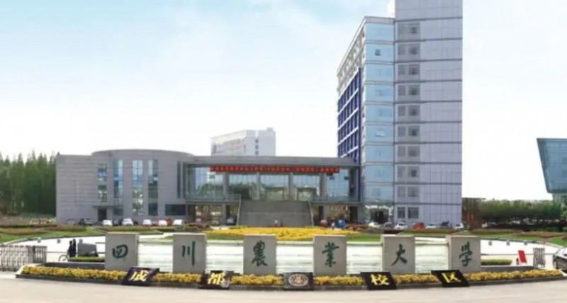 宁夏高考423分能上什么大学（2024年参考）
