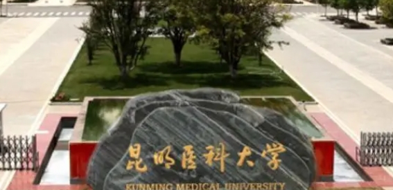 上海高考520分能上什么大学（2024年参考）