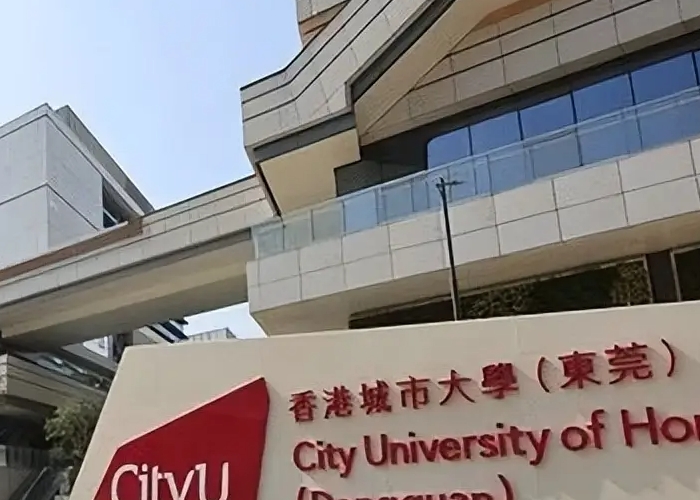 香港城市大学（东莞）2024年招生章程