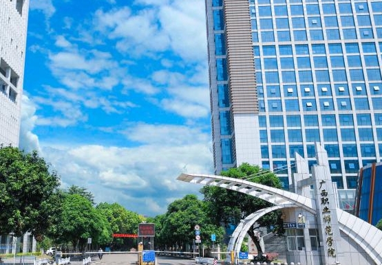 广西职业师范学院艺术类学费（2024）