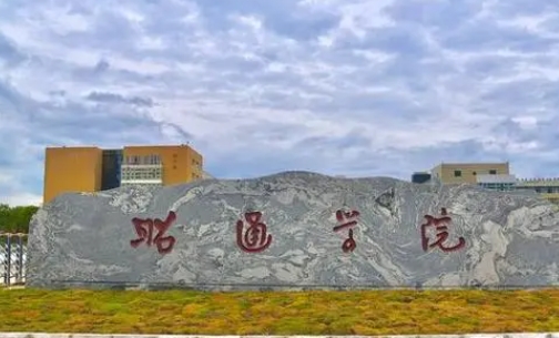 昭通学院艺术类学费（2024）