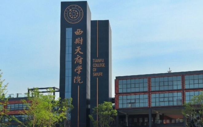 西南财经大学天府学院艺术类学费（2024）
