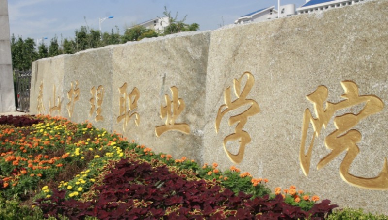 泰山护理职业学院中外合作办学专业一览 （2024）