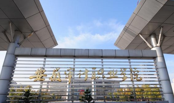 安徽审计职业学院中外合作办学专业一览 （2024）