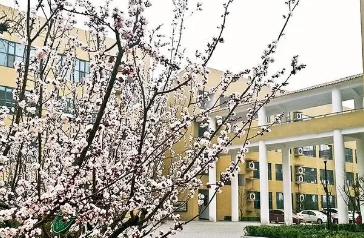 2024邯郸市第二中学招生计划 招生人数是多少(附要求、条件、对象)