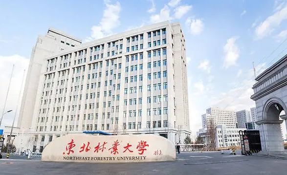 林产化工专业院校排名（2025年参考）