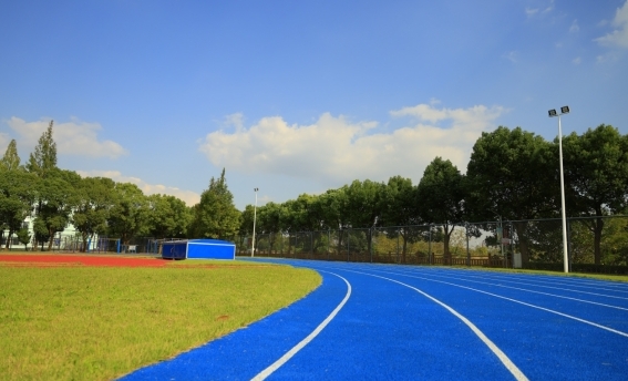上海工商职业技术学院2024年招生简章