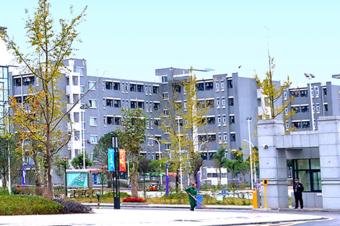 重庆2025年设有铁路学校的公办大专学校