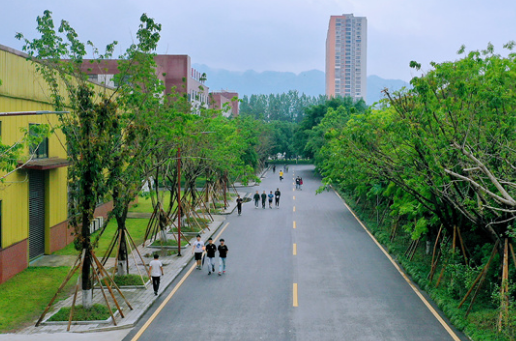 重庆2025年铁路学校大专有哪些