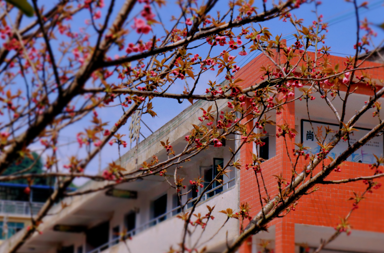 江苏2025年铁路学校学什么好找工作