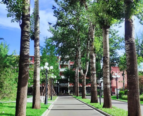 江苏2025年铁路学校中专升大专考什么