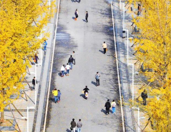 江苏2025年现在铁路学校学什么专业好
