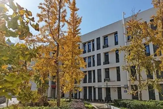 2025养马中学招生计划 招生人数是多少(附要求、条件、对象)