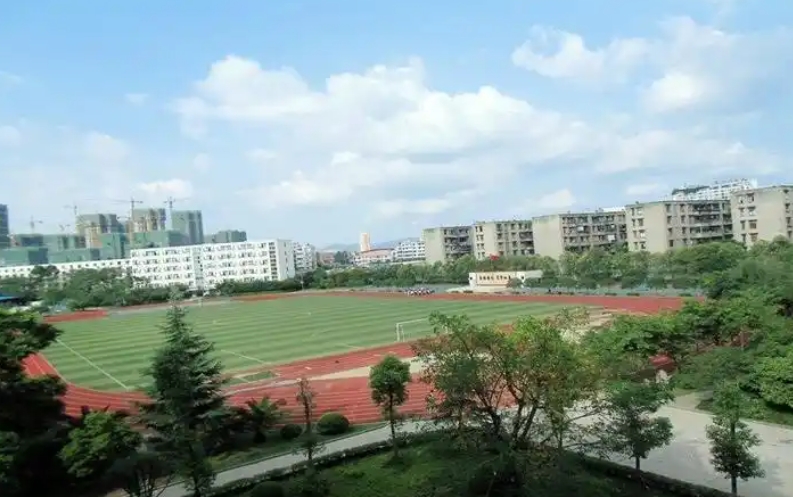 2025龙泉二中多少钱(学费明细)