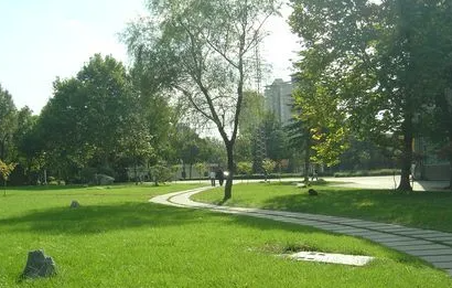 湖州交通技师学院:校社携手，共筑心理健康防线