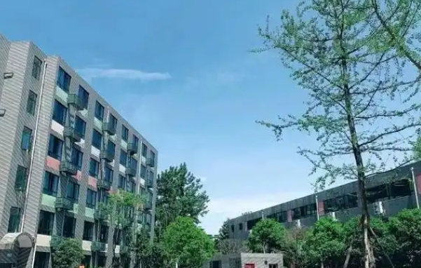 2025成都市郫都区绵实外国语学校招生计划 招生人数是多少(附要求、条件、对象)