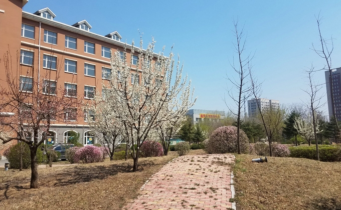 沈阳音乐艺术学校招生简章2025年