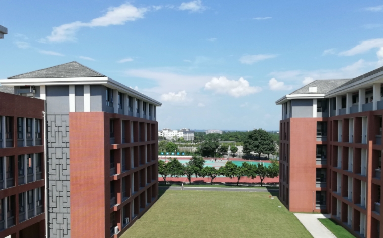 2025新津中学招生计划 招生人数是多少(附要求、条件、对象)