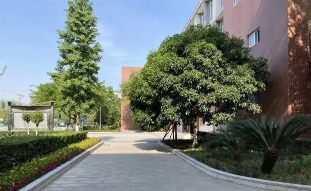 新津实验高中地址，乘车路线