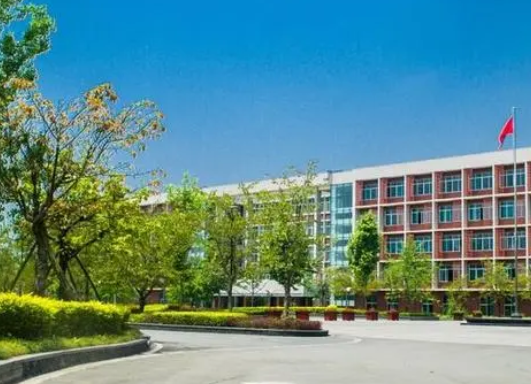 灵蛇献瑞 喜迎元旦｜湖北现代科技学校迎元旦文艺联欢晚会完美落幕‌‌！