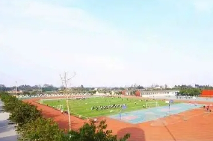 2025强项中学多少钱(学费明细)