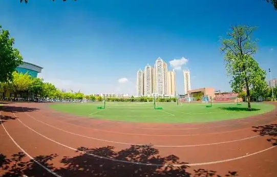 金堂外国语实验学校地址，乘车路线