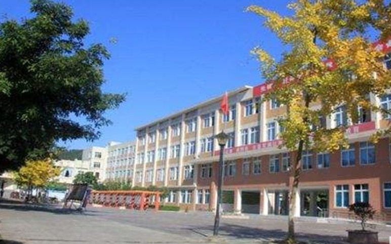 2025大邑县实验中学招生计划 招生人数是多少(附要求、条件、对象)
