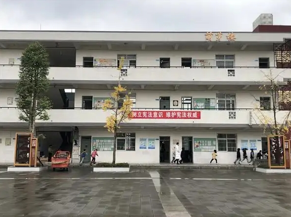 成都市青白江区龙王中学招生简章2025年