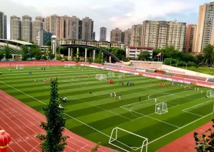2025成都市青白江区龙王中学招生计划 招生人数是多少(附要求、条件、对象)
